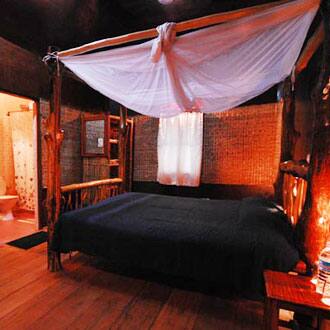 Wild Orchid Havelock Book This Hotel At The Best Price Only On