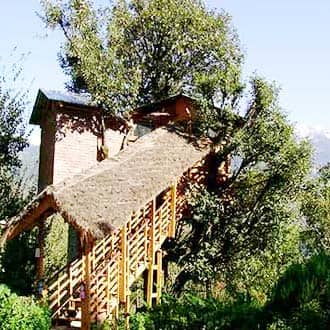 Tree House Cottages Hotel Manali Book Hotel Online Hoteldekho