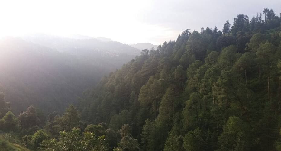 Ananda homes and village Shimla, Shimla 2