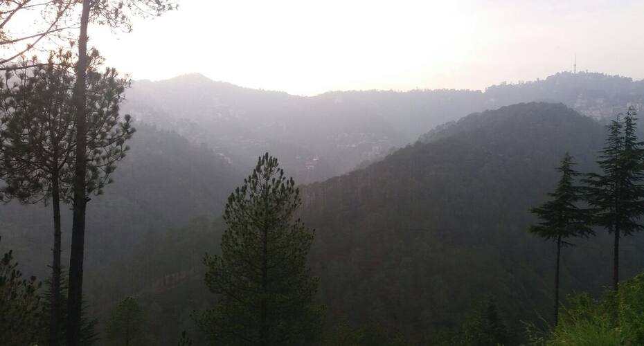 Ananda homes and village Shimla, Shimla 3