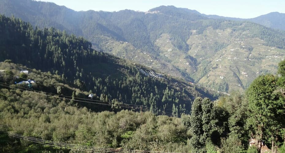 Tanijubbar Heights Home Stay (village Jarol, Near Narkanda, Distt. Shimla), Narkanda 4