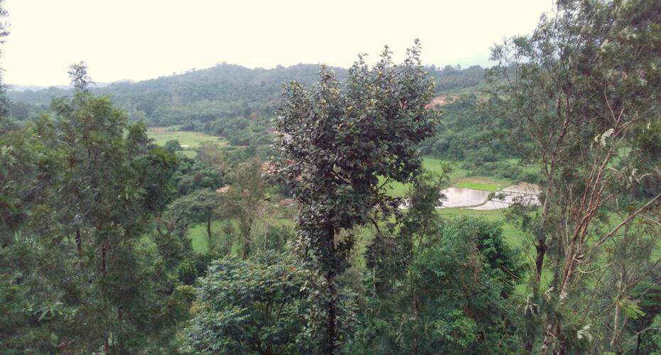 R.R.HOMESTAY, Coorg 2