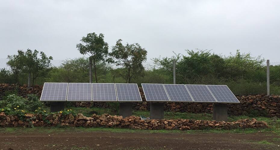 Aranya Eco Farm, Sasan Gir 4