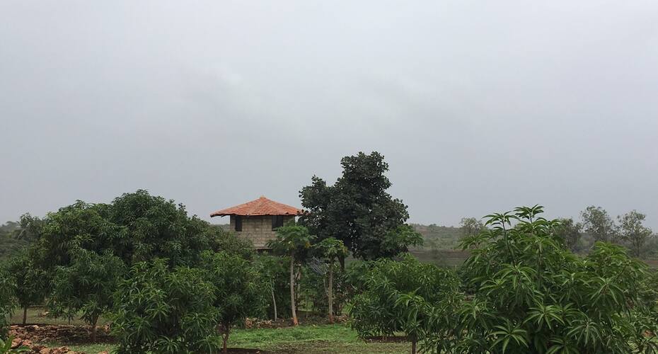 Aranya Eco Farm, Sasan Gir 3