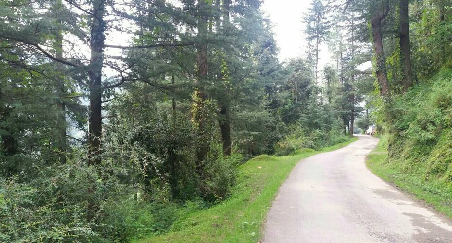 Ananda Home Stay, Shimla 5