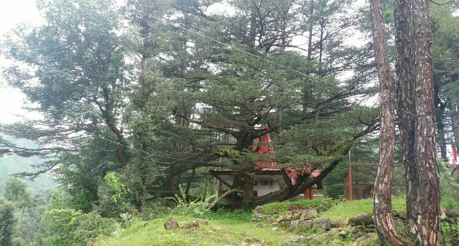 Ananda Home Stay, Shimla 4