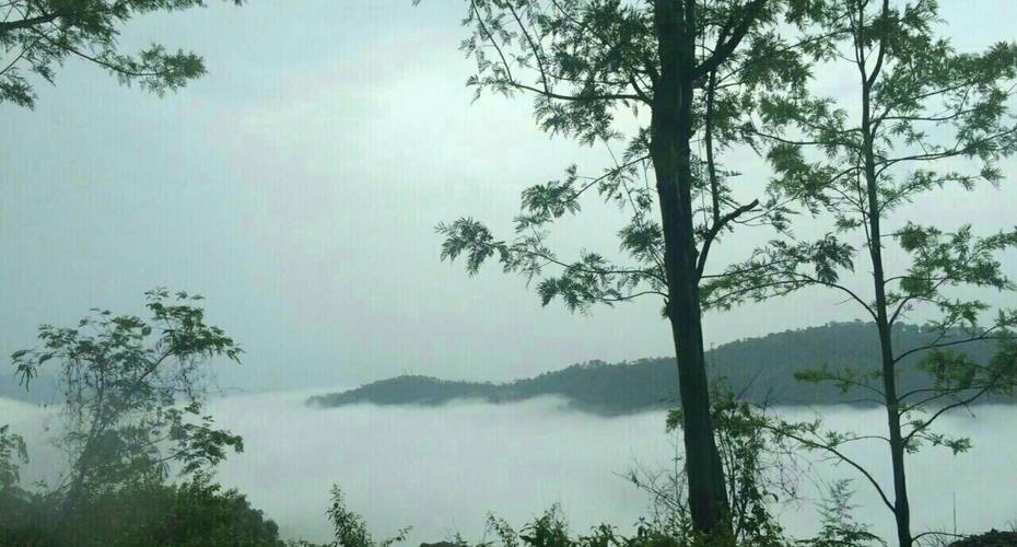 Ananda Home Stay, Shimla 2