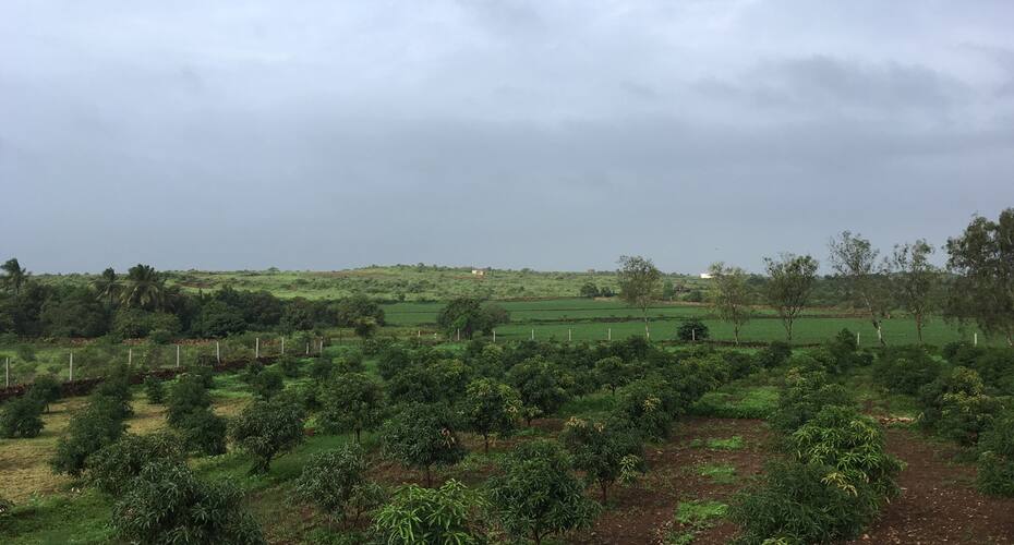 Aranya Eco Farm, Sasan Gir 2