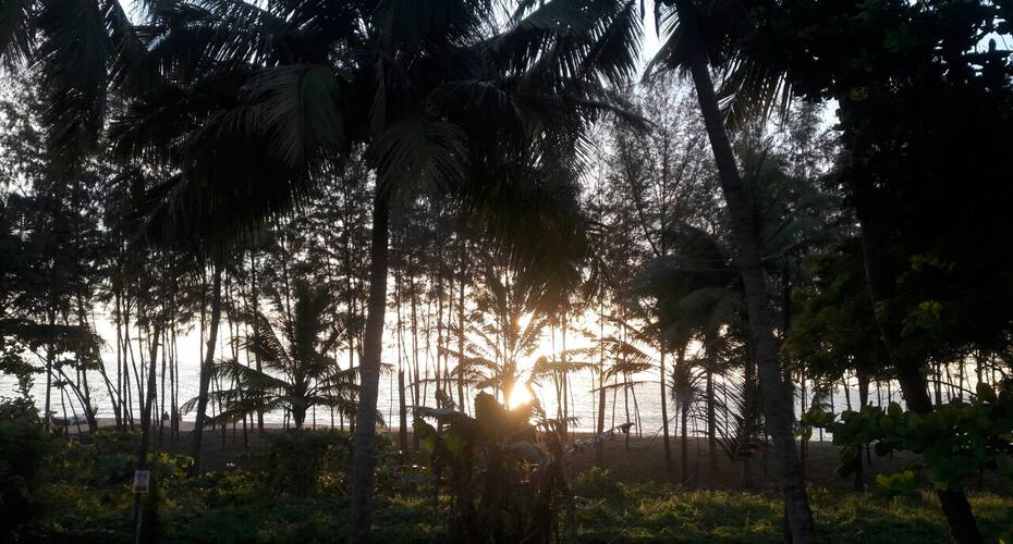 Zacharias Nest, Kochi 5