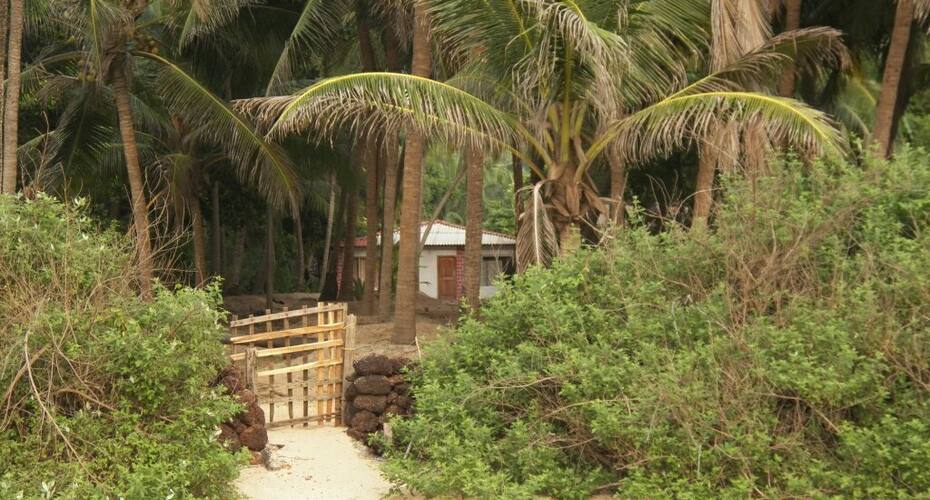 The Coconut Palms, Sindhudurg 4