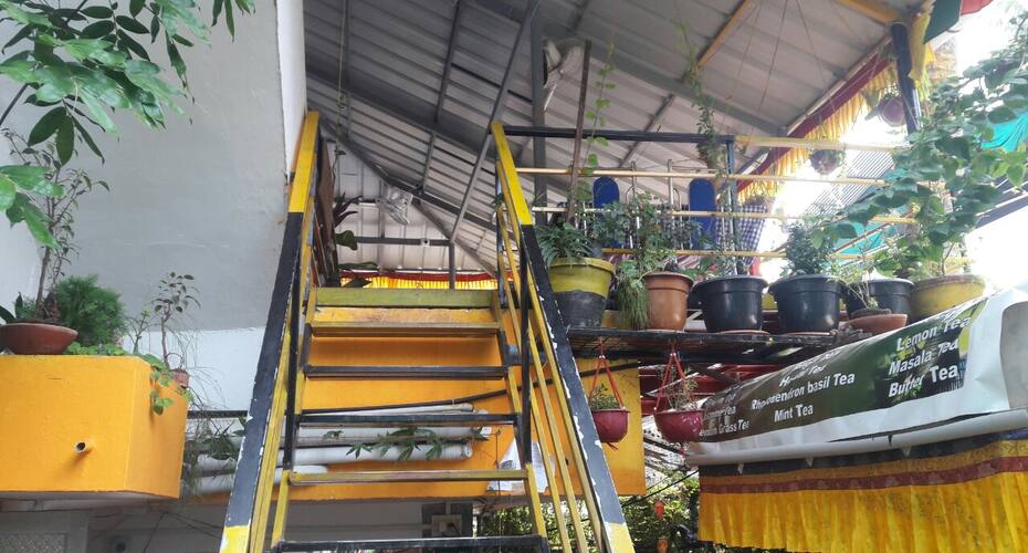 Tibet Homestay, Kochi 2