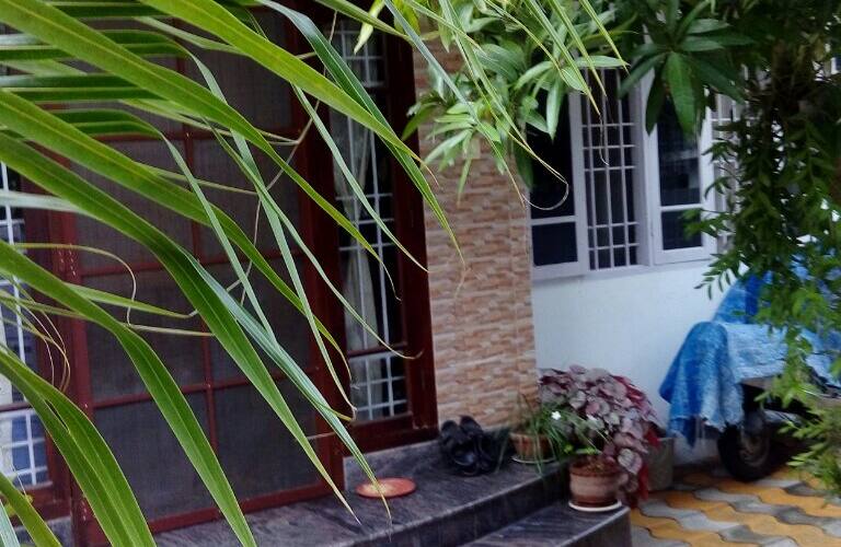 Aldos Ark Homestay, Kochi 1
