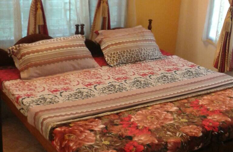 Aldos Ark Homestay, Kochi 2