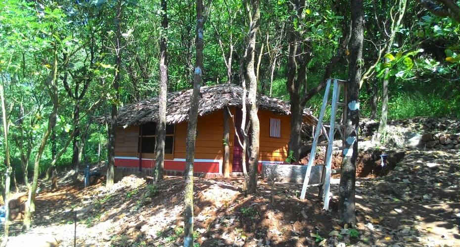 Wooden cottage, Kannur 1