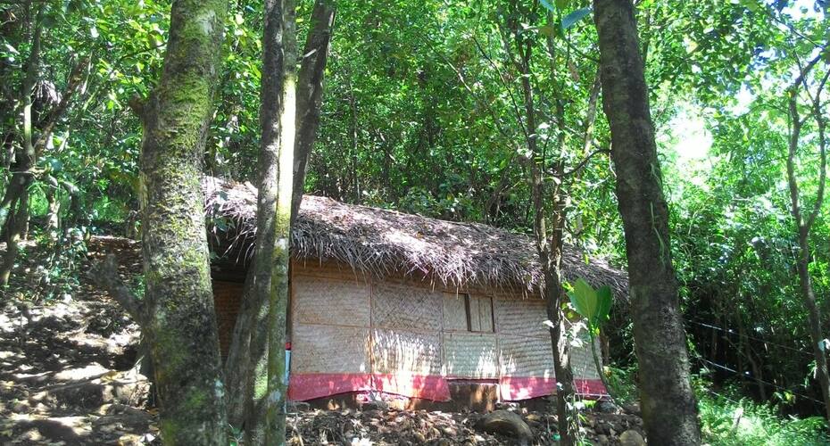 Wooden cottage, Kannur 4