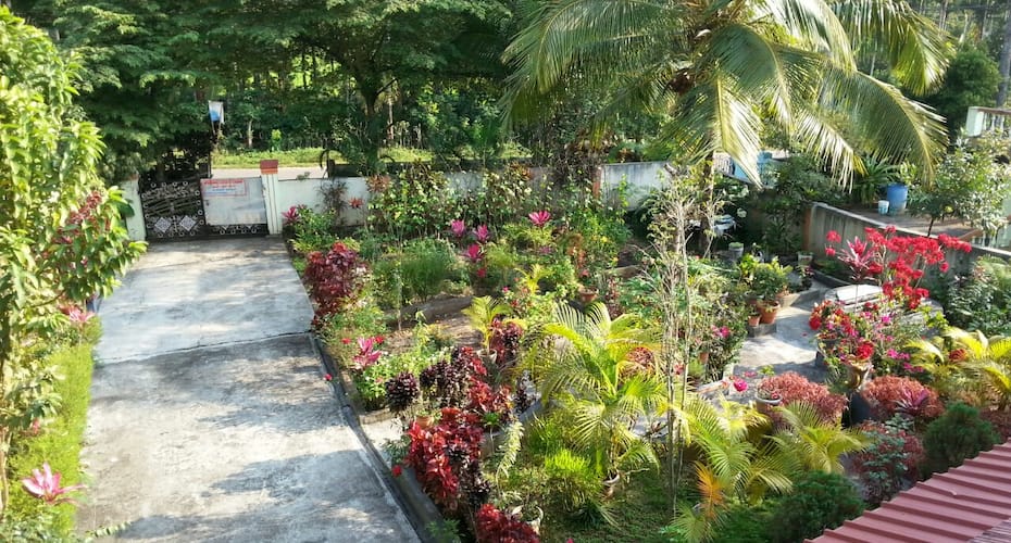 DUBARE ESTATE CAMP, Coorg 2
