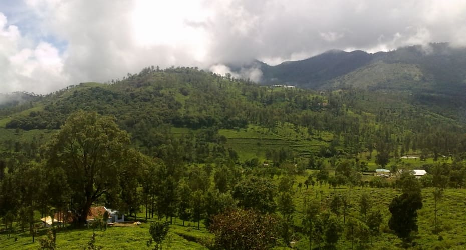Cozy Wooden Home with serene surrounding, Kotagiri 3