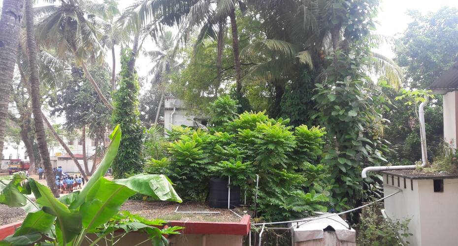 Adam's Old Inn, Kochi 2