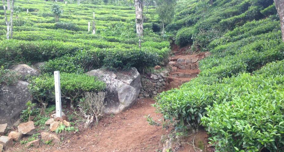Forest Trails Adventure Camping, Kotagiri 3