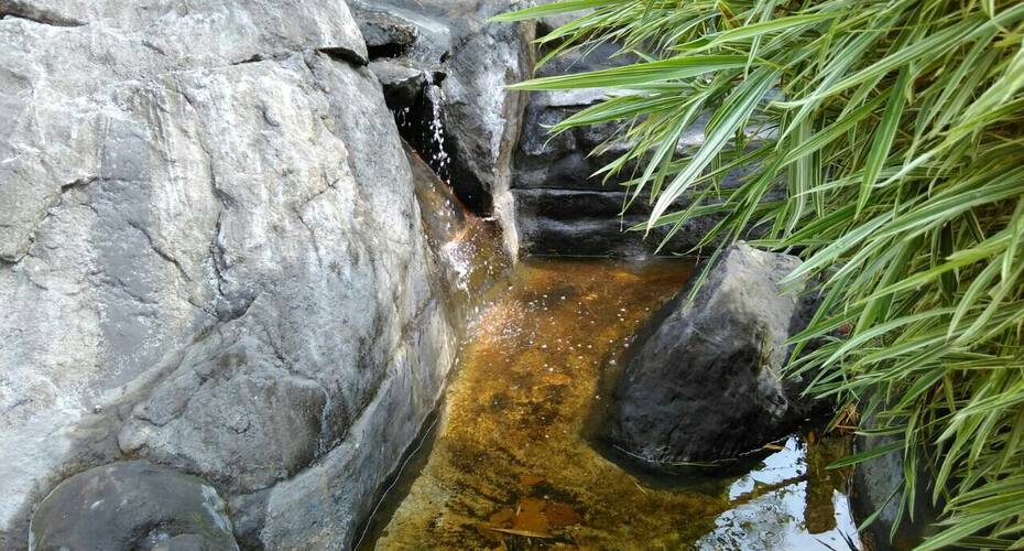 Mountain wind Homes, Wayanad 3