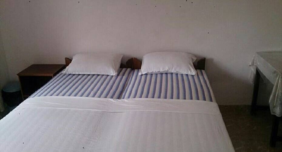 Domingos Guest House, Goa 4