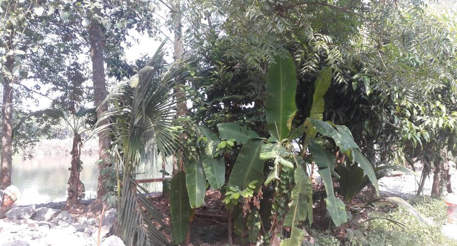 MoozhikKulam Sala, Kochi 3