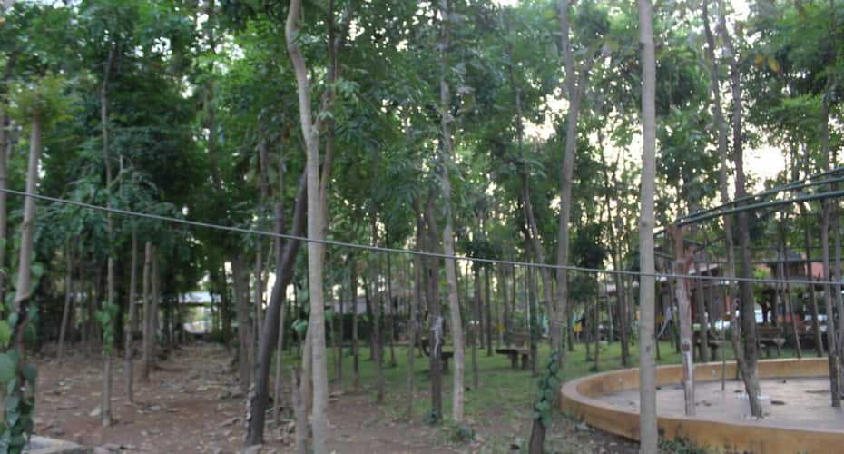 A Holiday Home Which Is Close To Nature, with Swimming Pool, Raindance, Farms, Karjat 5