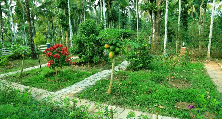 Evergreenvilla, Wayanad 5