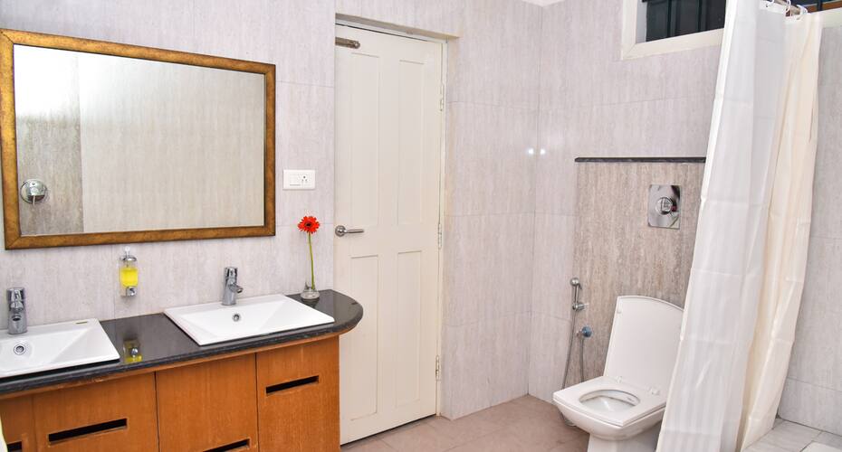 Mayflower Bluebell, Bangalore 2