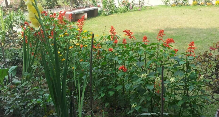 Vatika Homestay, Varanasi 3
