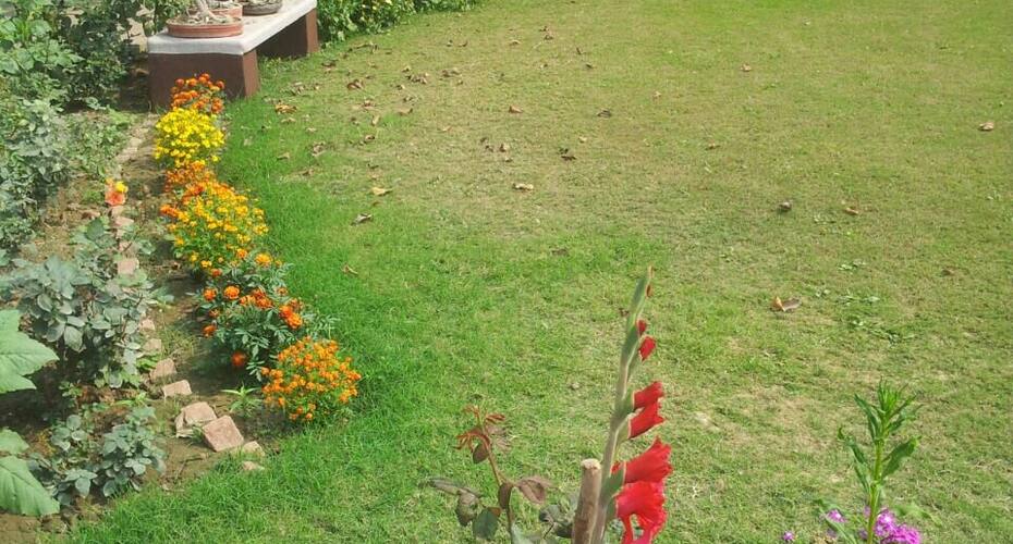 Vatika Homestay, Varanasi 4