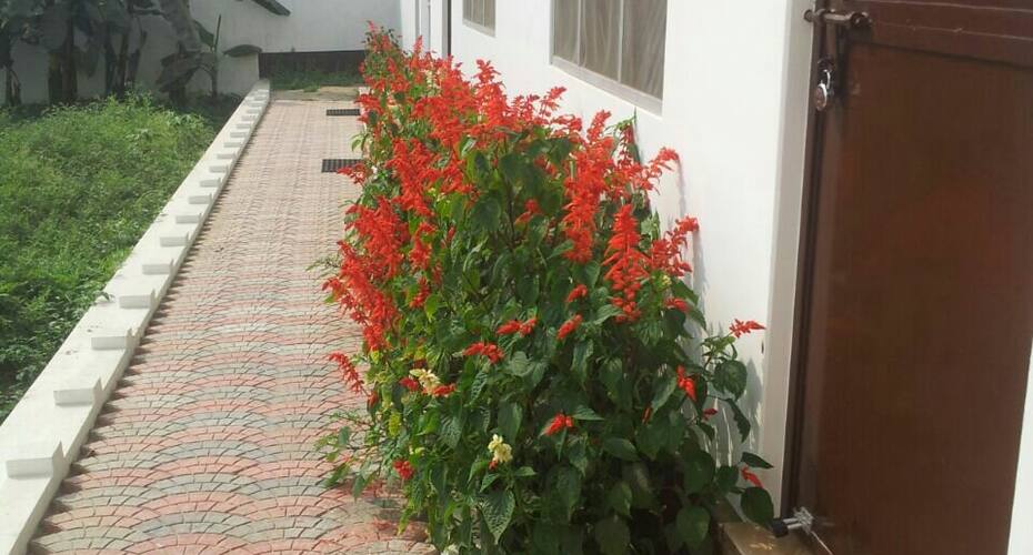 Vatika Homestay, Varanasi 5