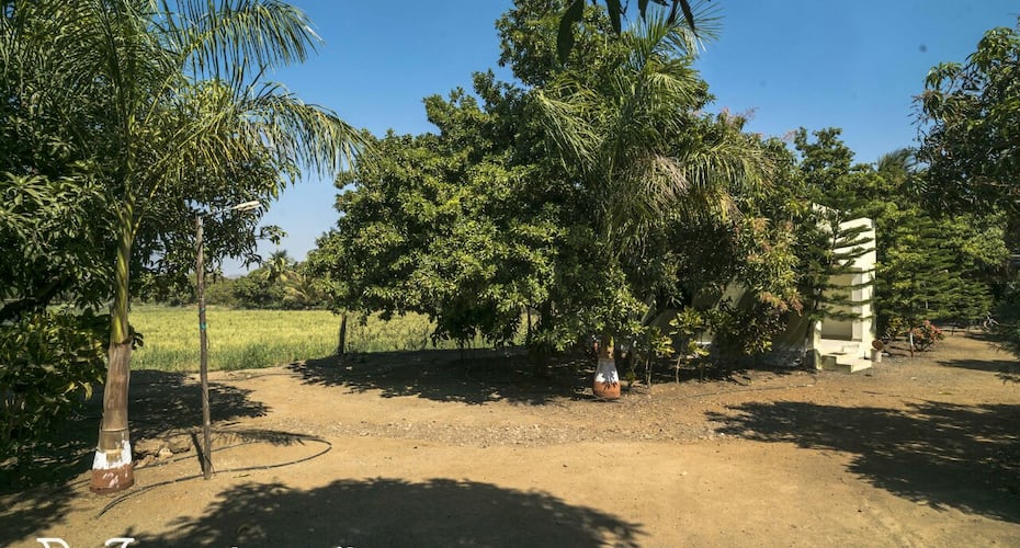 Gir Paradise - A Wandertrails Stay, Sasan Gir 5