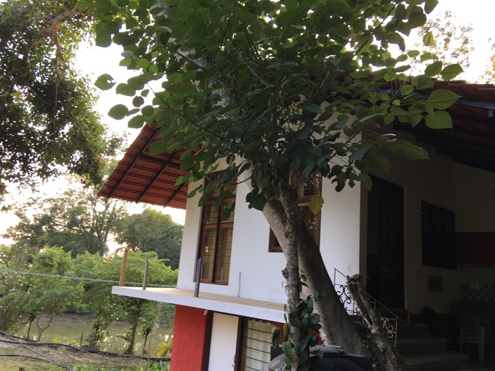 Pond Cottage, Madikeri 3