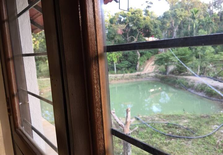 Pond Cottage, Madikeri 5