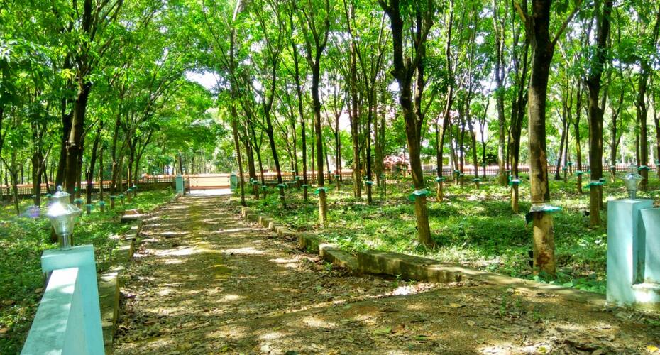 Rubber Estate Bungalow- Cochin, Kochi 4