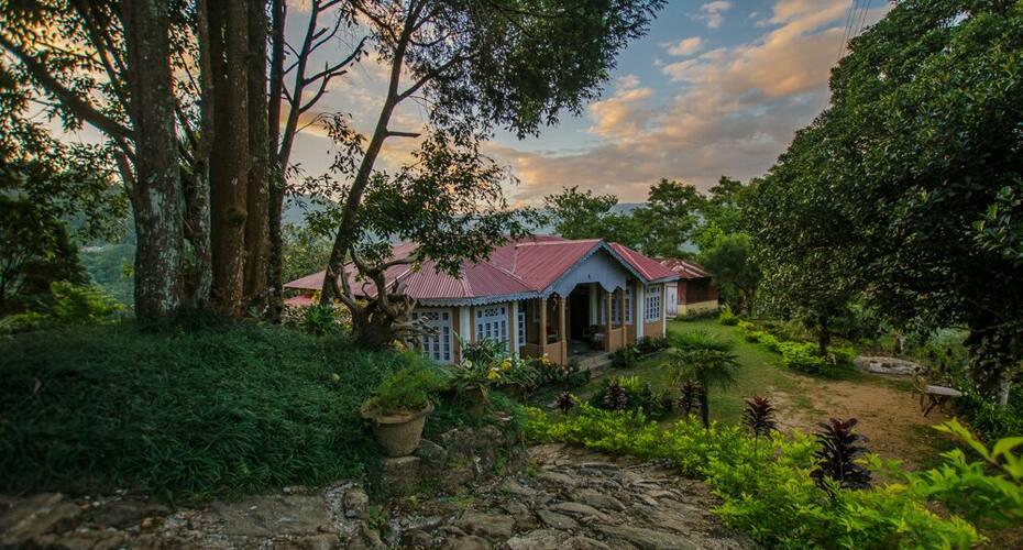 Rodhi Ghar Homestay, Darjeeling 2