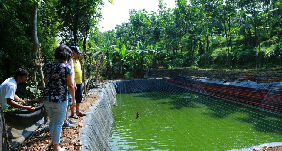 Manakkattu Organic Farm Villa, Kottayam 3