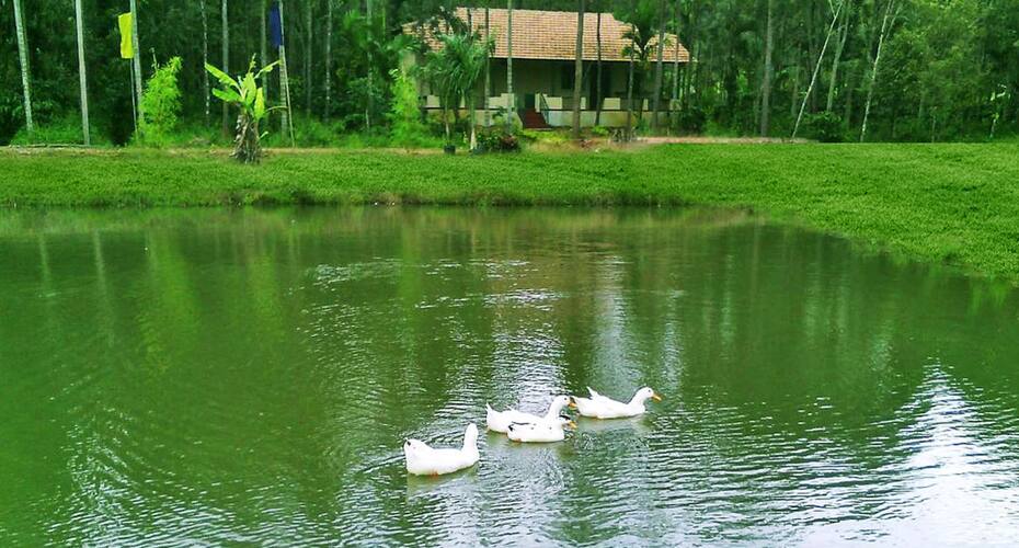 Vibez Homestay, Sakleshpur 2