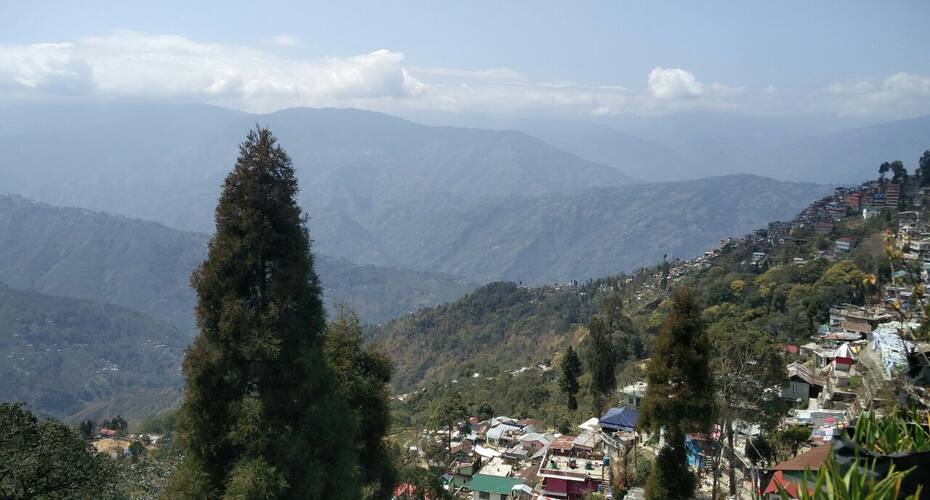 Danphe Daak Home Stay, Darjeeling 3