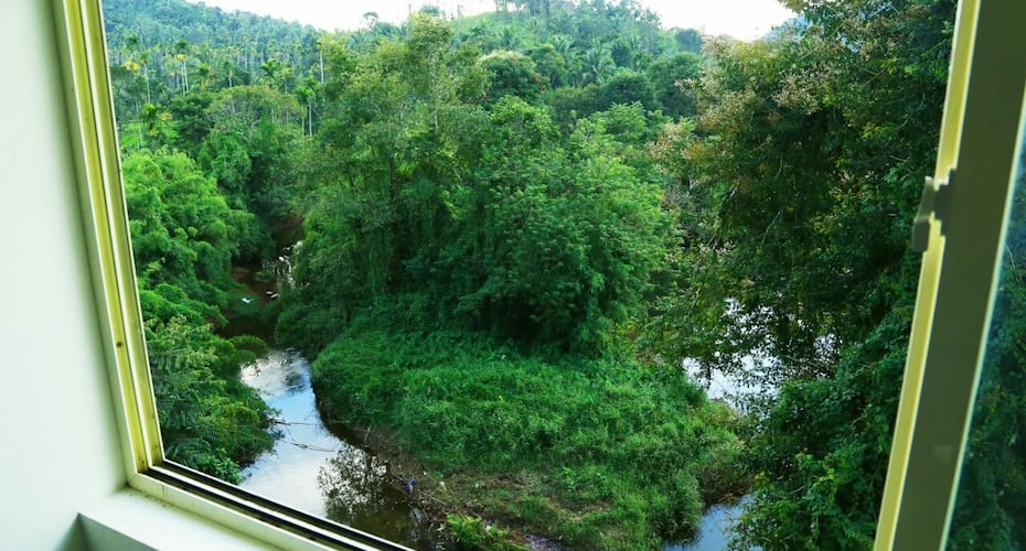 Wayanad Green Pepper, Wayanad 2