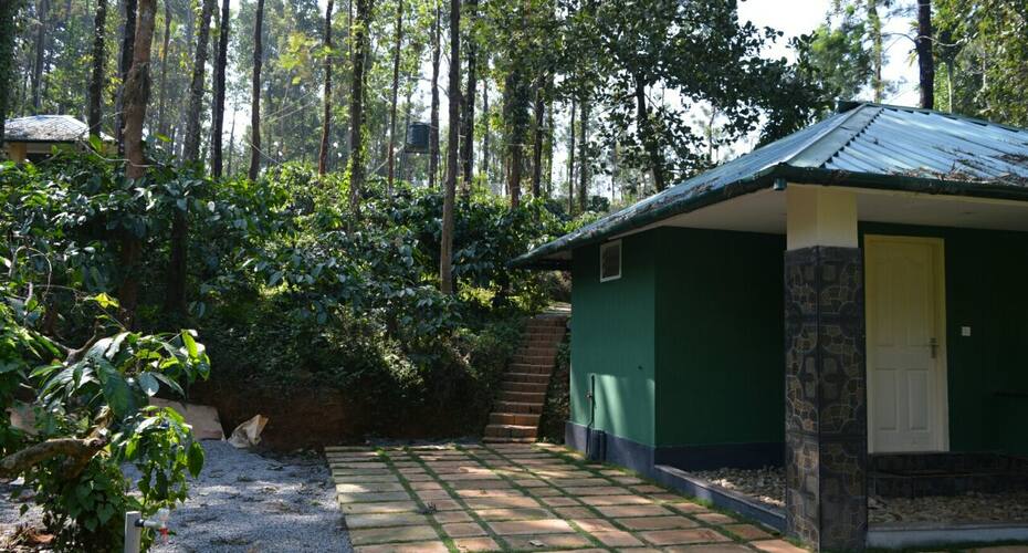 Burrito coffee Grove cottage, Wayanad 3