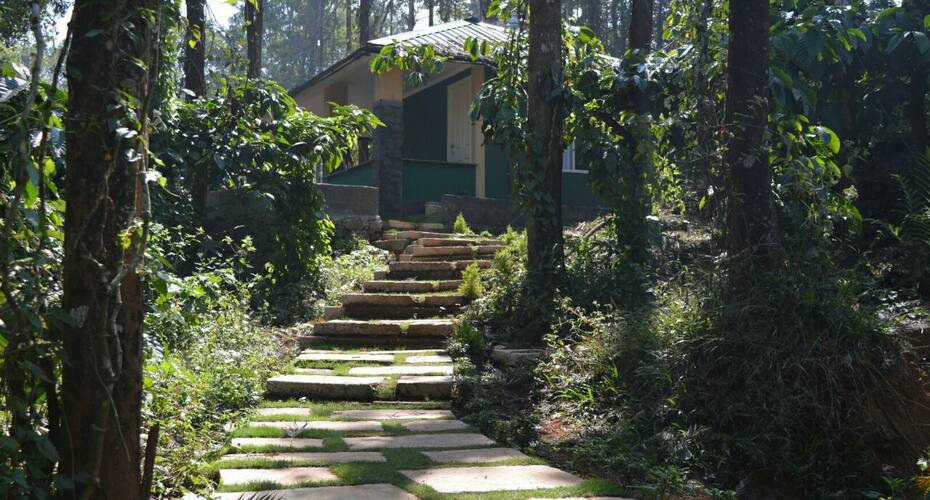 Burrito coffee Grove cottage, Wayanad 1