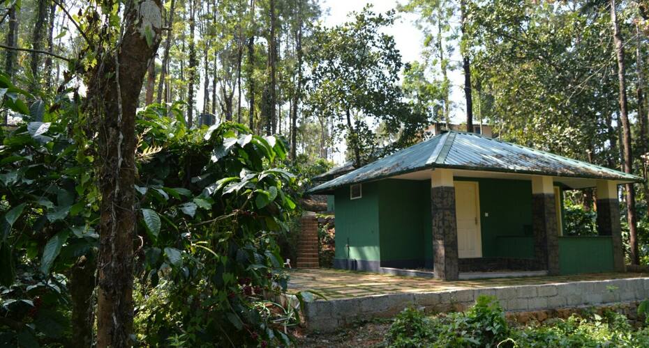 Burrito coffee Grove cottage, Wayanad 2