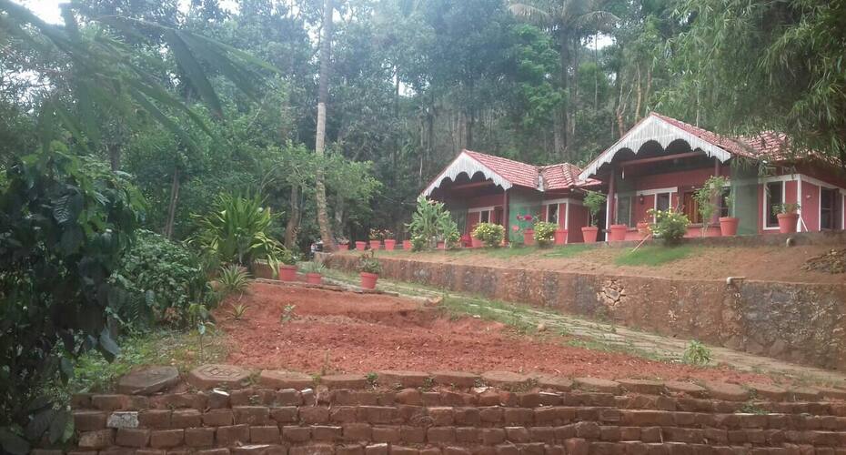 Green Hoppers Inn, Wayanad 2