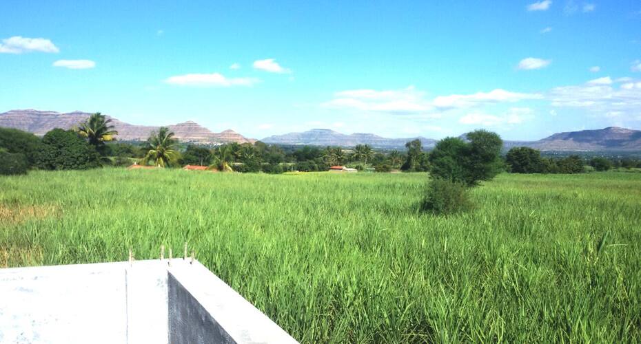 Waihills Bungalow Stay, Wai 4