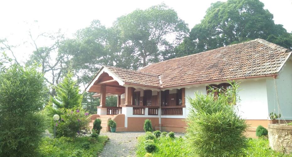 Wayanad Tea Drops, Wayanad 4