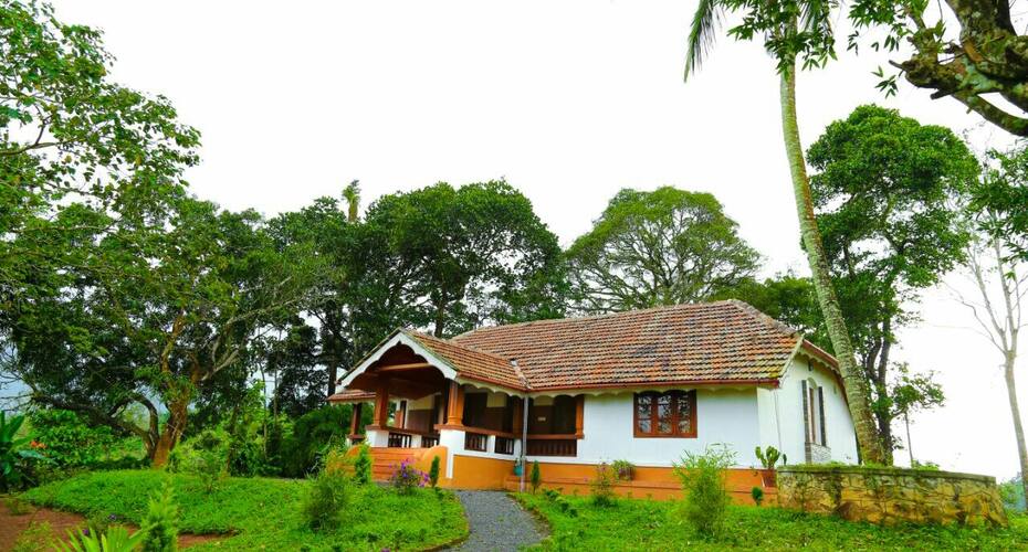 Wayanad Tea Drops, Wayanad 2