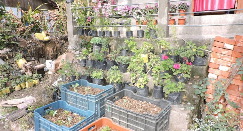 Moonland Homestay, Yuksom 4