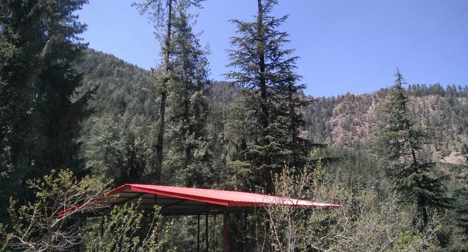 Ridhabhi Home Stay, Shimla 5